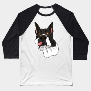 Great Dane Baseball T-Shirt